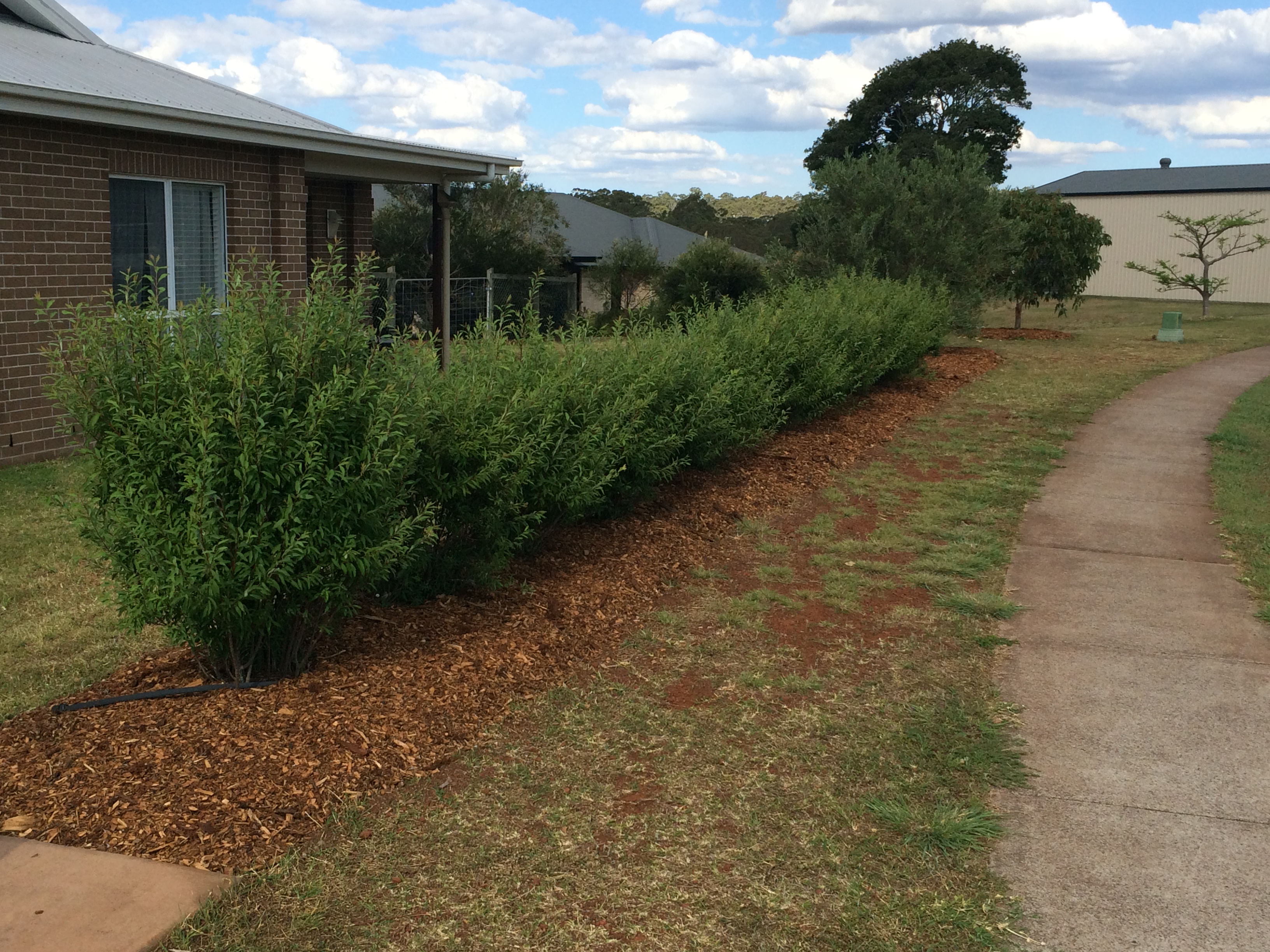 201611-verlaat-gardens-after-15