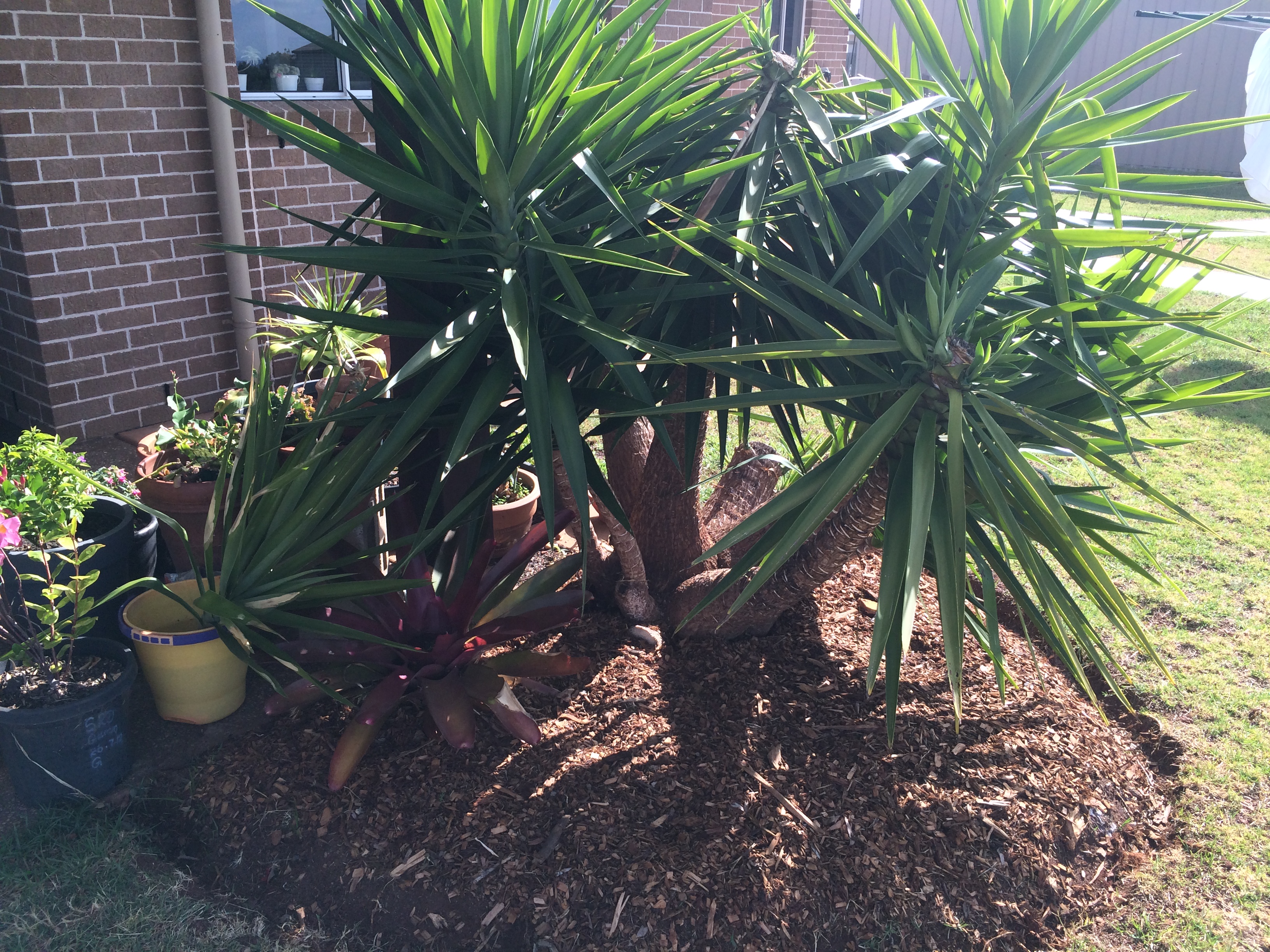 201611-verlaat-gardens-after-9